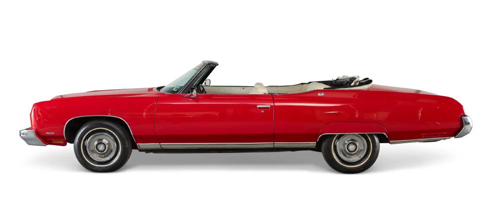 Side of the Red Shark
